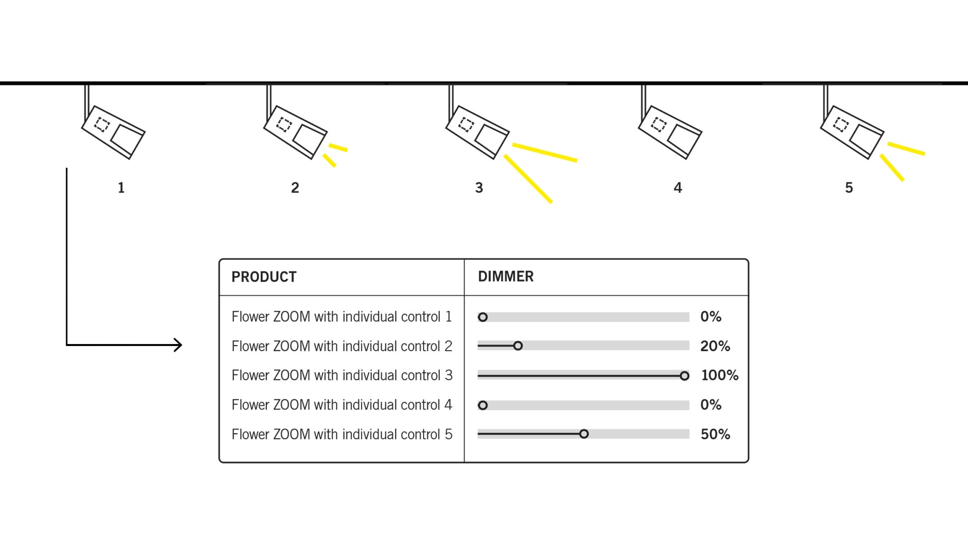 IP System