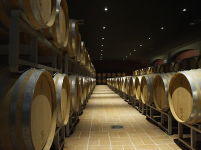 ZIP DOWN-LIGHT COMFORT